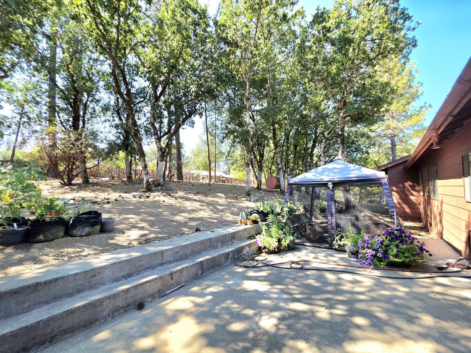 238 Circle Dr 3