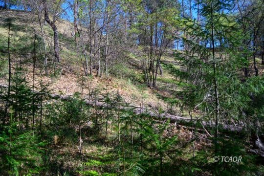 90 Hillcrest Dr 2