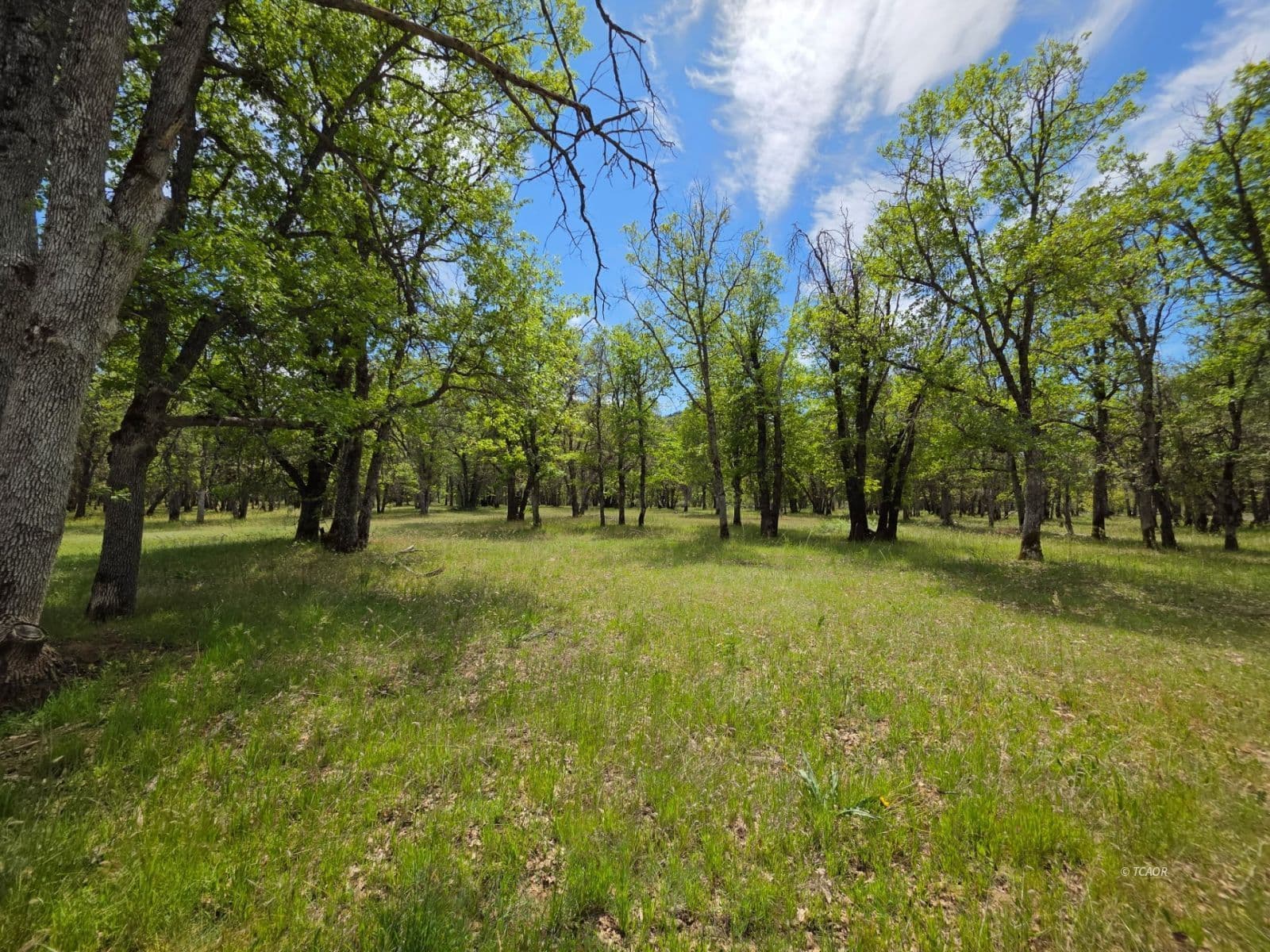 13660 State HWY 3 3