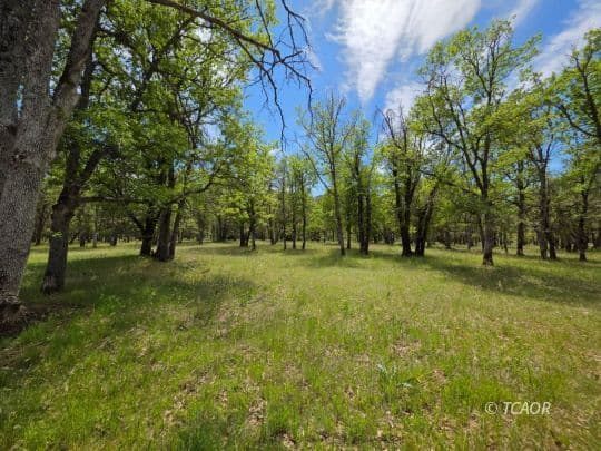 13660 State HWY 3 3