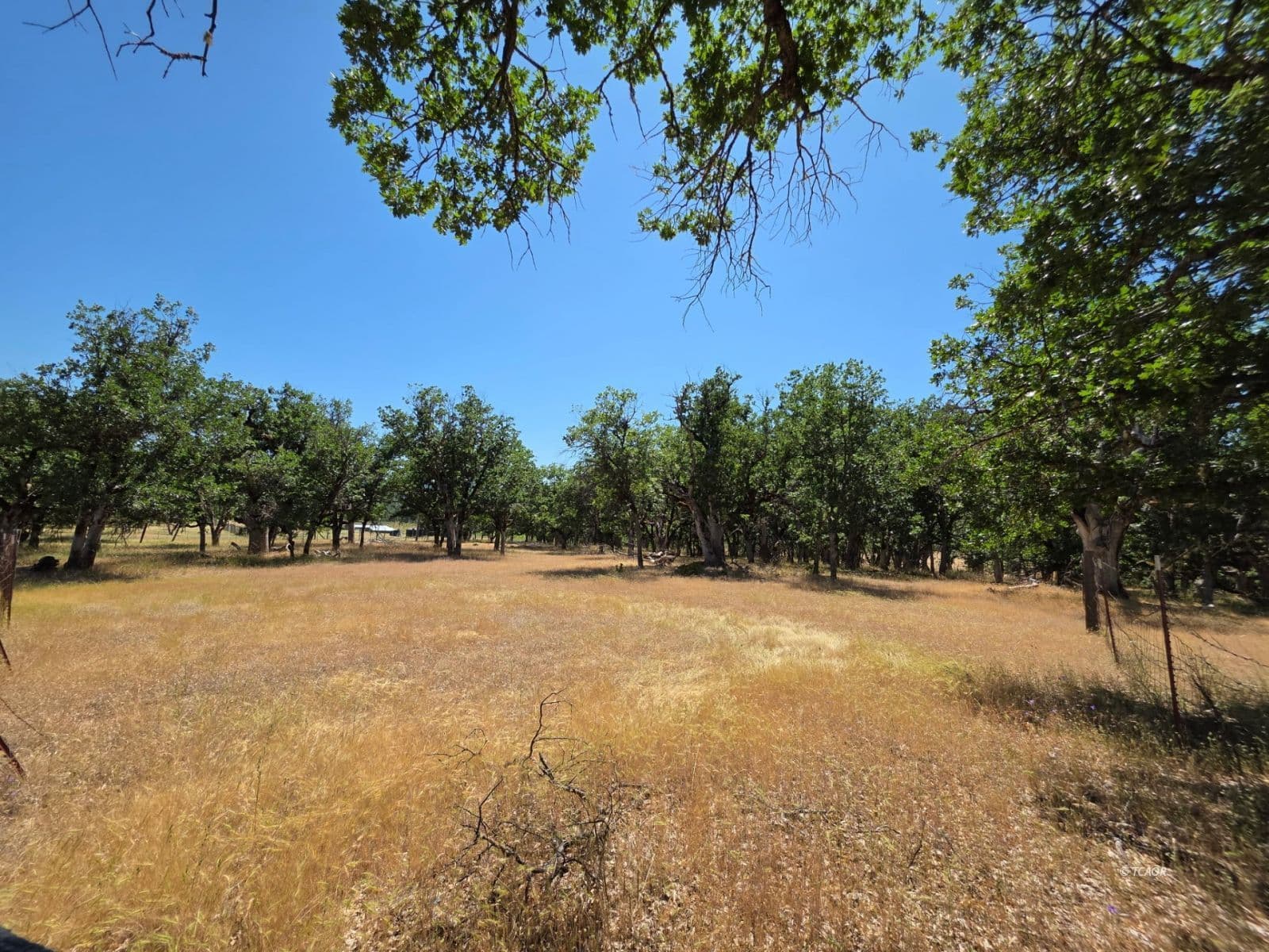 480 Oliva Dr 3