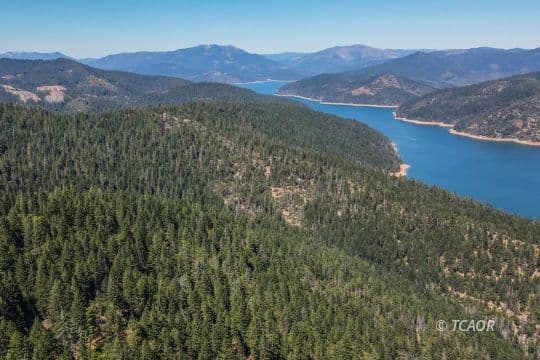 190 Upper Moore Gulch 3