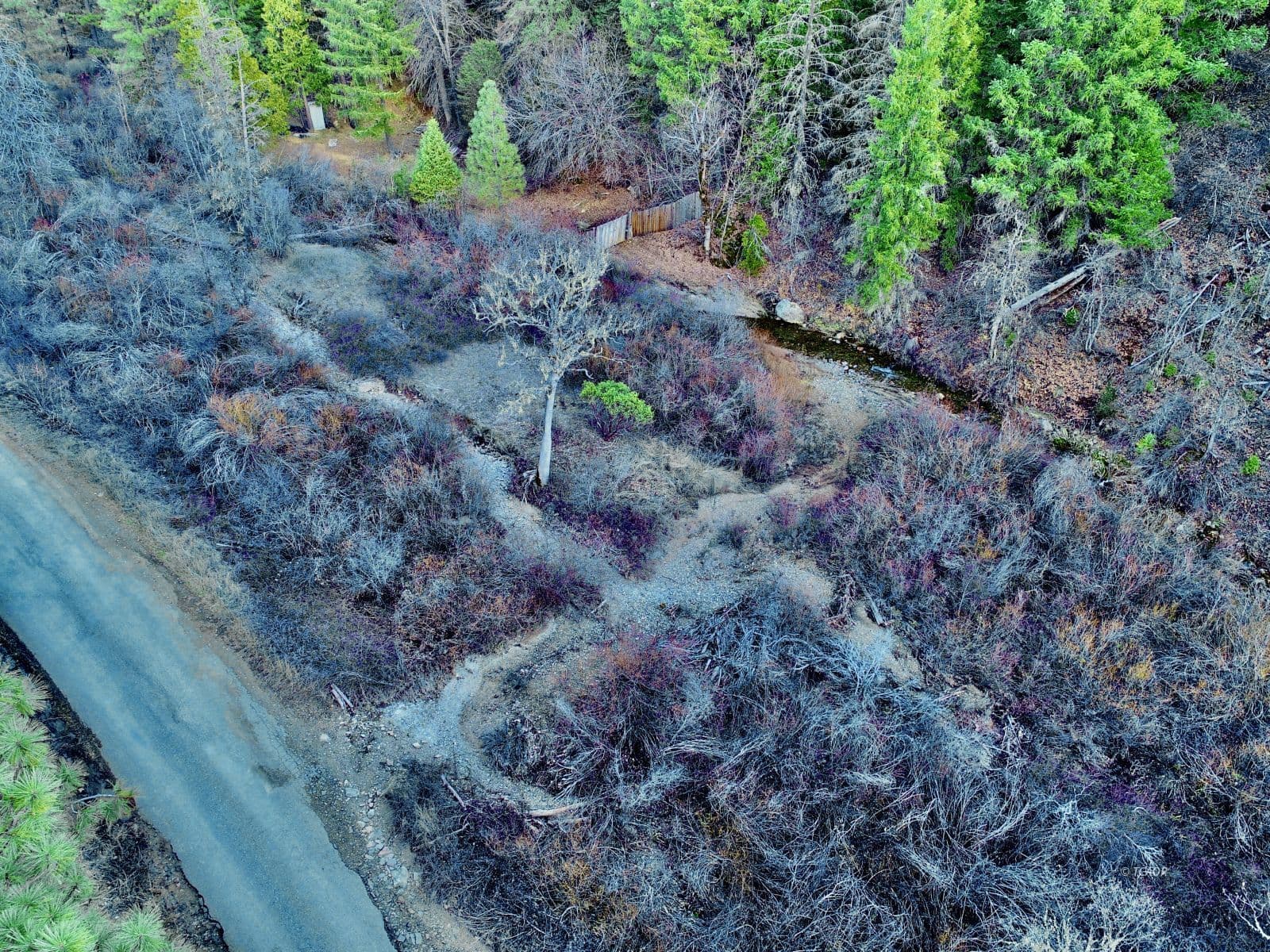 7081 Rattlesnake Rd