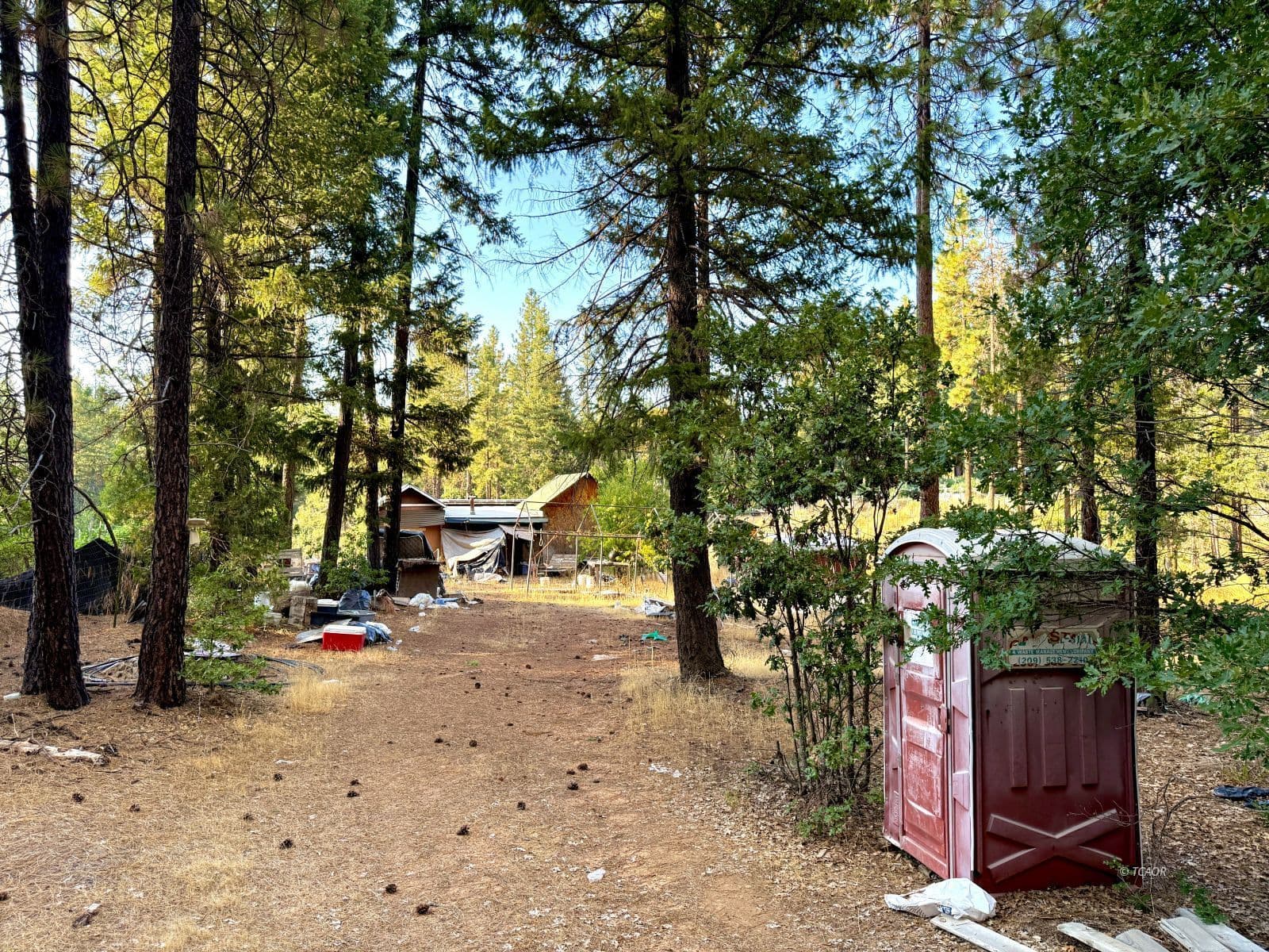 831 Pine Forest Dr