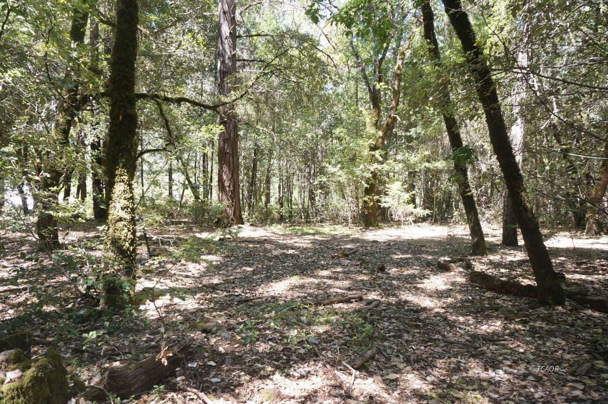 4271 State Hwy 299 Rd