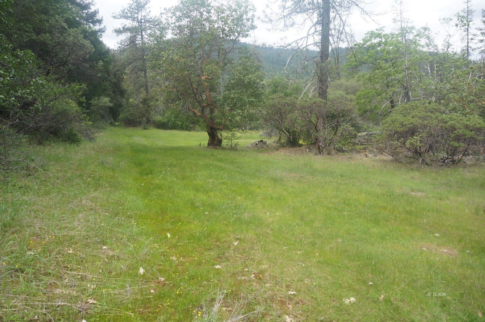 6269 Dutch Creek Rd 3